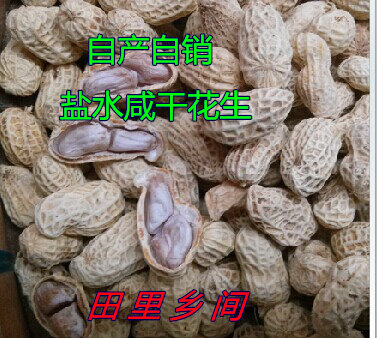 Bulk this year farmers boil natural drying salty drying peanut of Meizhou Pingyuan East stone peanut 500g