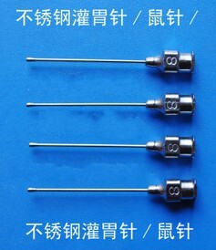 大小鼠灌胃针不锈钢直针头/8号0.8*45mm动物灌胃针白鼠灌胃器