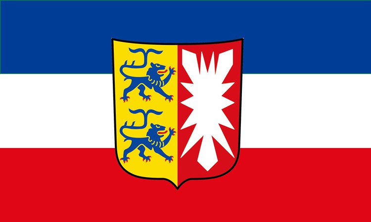 German Schleswig-Holstein Flag 90 X 150 CM 3 X 5 FT