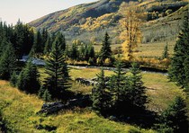 PCB automatic panel cutting system officially registered version PCB panel cutting master installation video