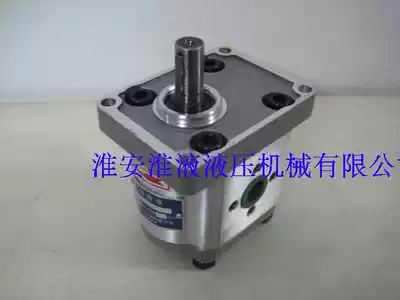 CBW-F316-CFP Hydraulic station gear pump