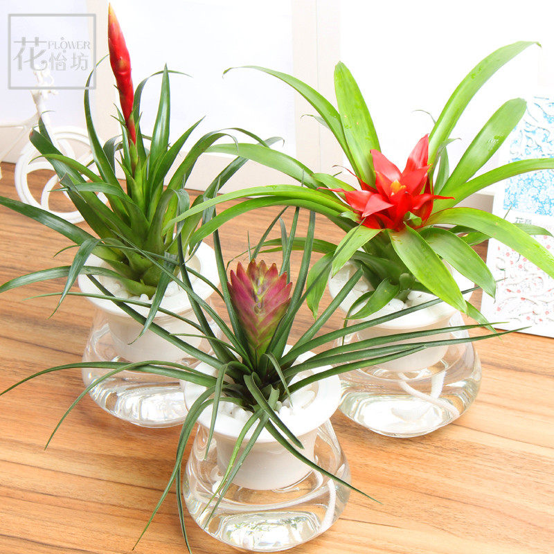 �������辰ˮ��2