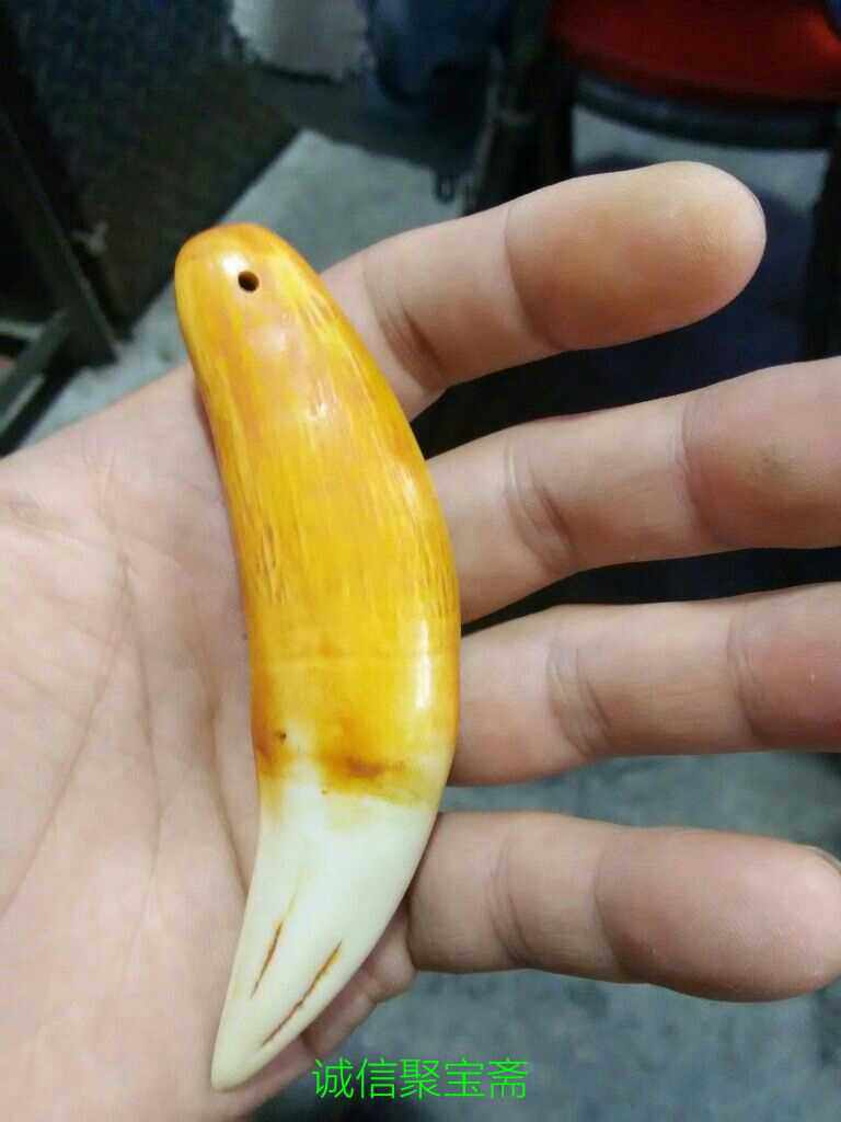 Bone powder glue mixed pressure large cat teeth high imitation tiger tooth gift pendant resin tiger item crash