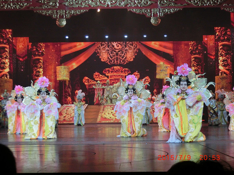 Fangyun's new large palace opening dance back board dance costumes private custom