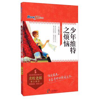 正版包邮少年维特之烦恼/语文新课标经典必读正品图书书籍