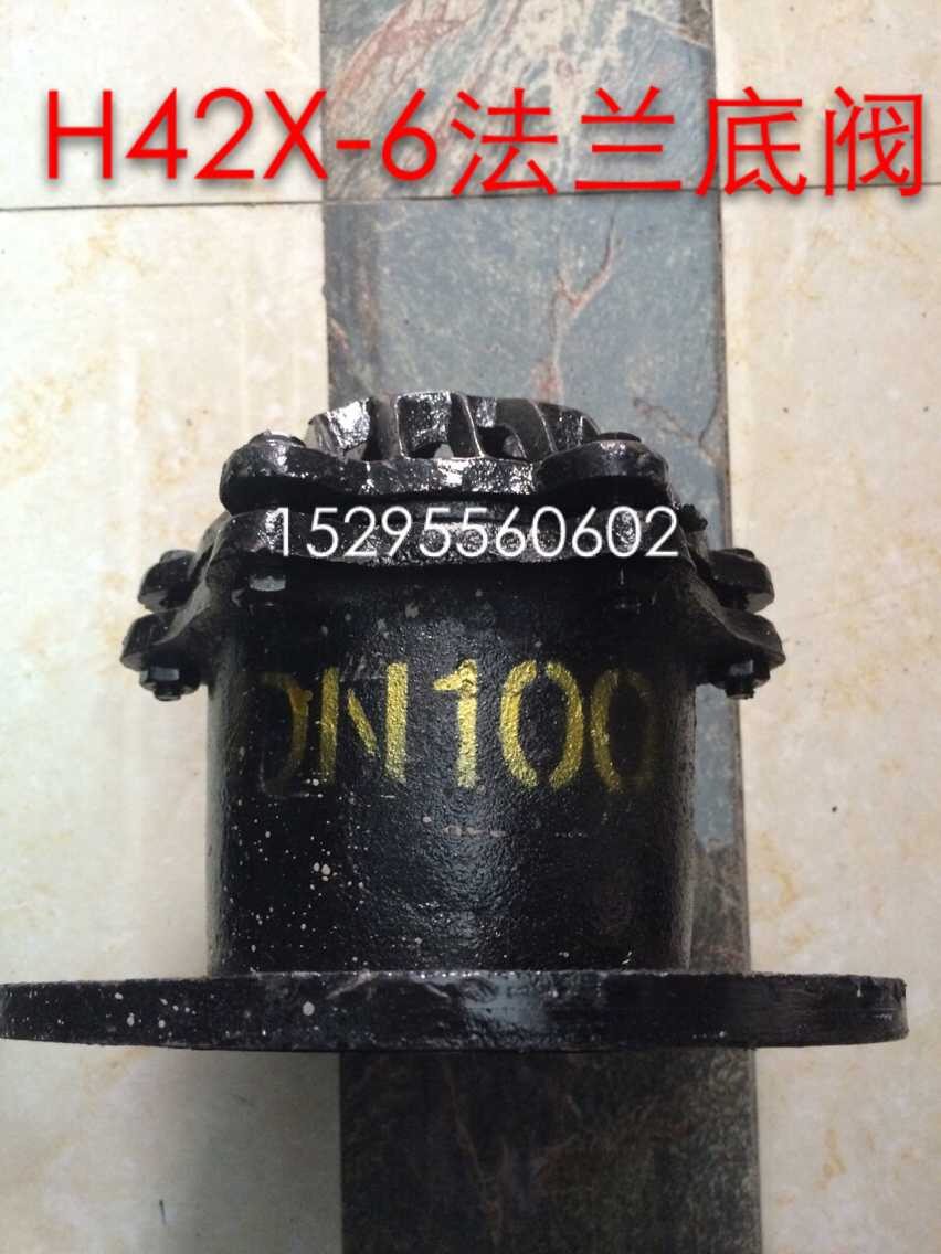 H42X-6 Flanged bottom valve Well bottom valve Suction valve Check valve Cast iron pump bottom valve DN50 65 80 100