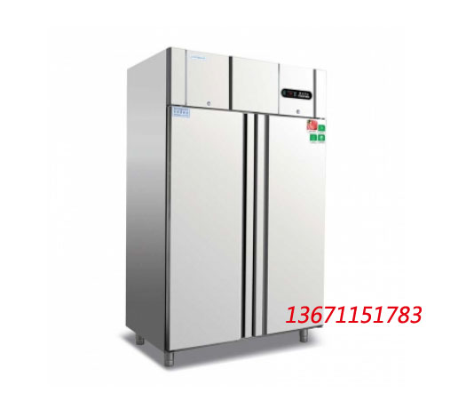 Ice cube RX2 large two-door refrigerator commercial refrigerator two-door single-temperature refrigerator two-door refrigerator