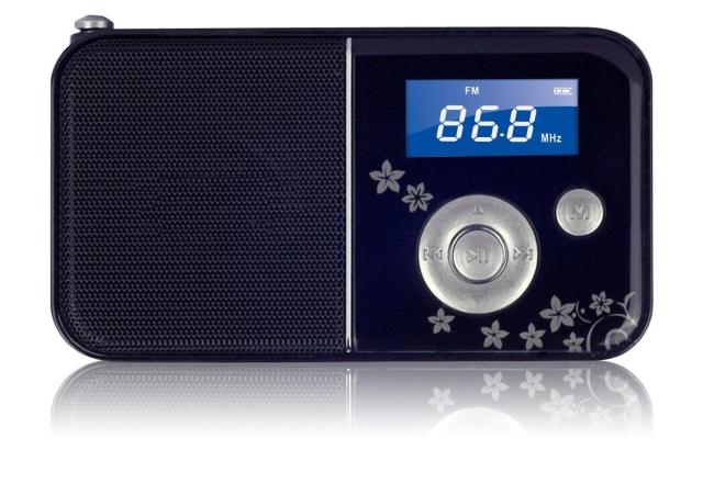 PANDA Panda DS-111 card radio TF card mini combination audio card small speaker