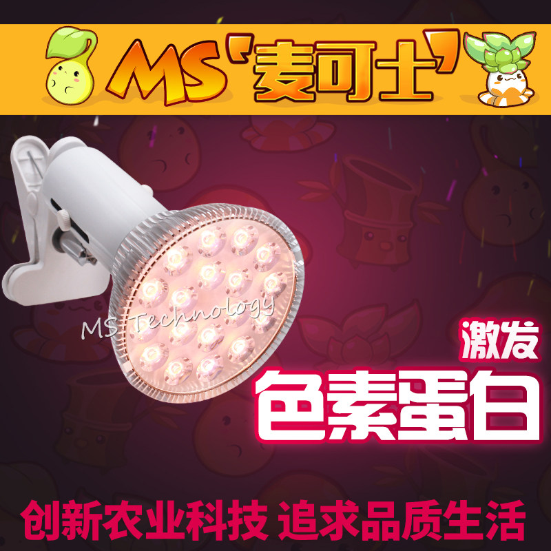 ms���ʿȫ����ledֲ��������MS-Par