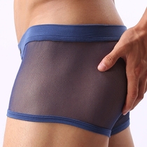 Mens summer ultra-thin sexy mesh mesh hole ice silk U convex sac pocket breathable transparent triangle briefs