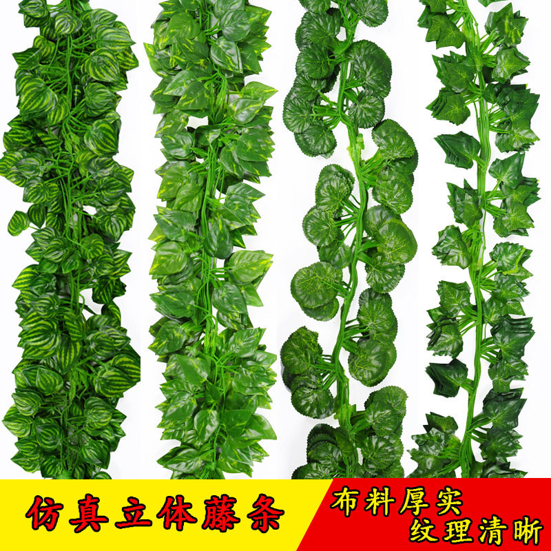 Everyday specials simulate rattan grape leaves fake leaves green leaves creeper leaves vine flower water pipe ceiling decoration leaves