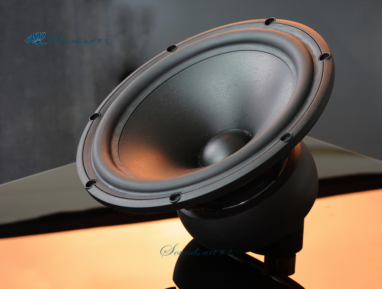 Danish SCAN-SPEAK (Sen Bao) 26W 8861T00 10 inch paper basin bass unit