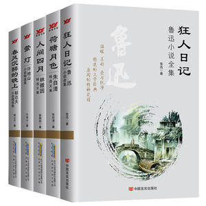 狂人日记 （套装书）