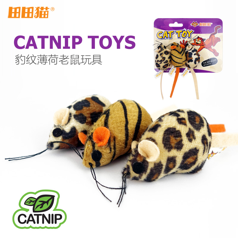 ����è�������