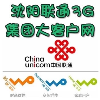 Deprocessing of Shenyang Unicom Province Net Not limited-Time Large Customer Group V Net City Net Province Greater Customer Business