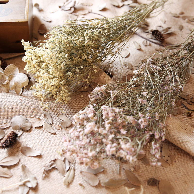 ��ױ��Ȼˮ���ݸɻ�