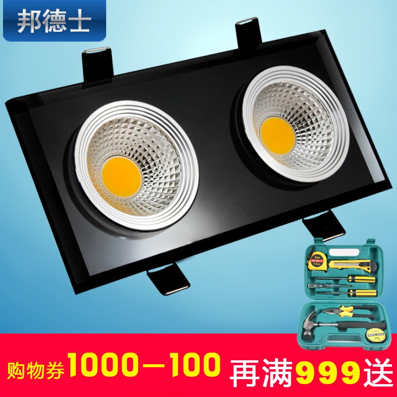 ���ʿ��դ��ˮ��led˫ͷ���B-SJ2C