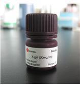 化学试剂  考马斯亮蓝 R250  BS5克/瓶