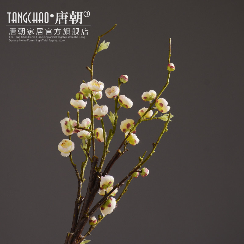 �Ƴ�װ��÷����ƿ�����輸MH001