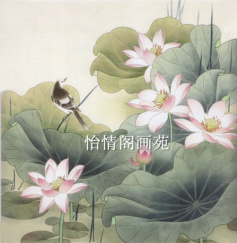 Work Stroke White Sketch Manuscript Lotus White Sketch Manuscript landscape figure Flowers Birds Animal Line Sketch in Physical Paintreading 111