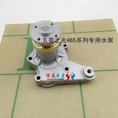 Suitable for Baojun Wuling Zhaojun 6376 6371 6400 Xingwang Yang Guang 462 465 engine water pump