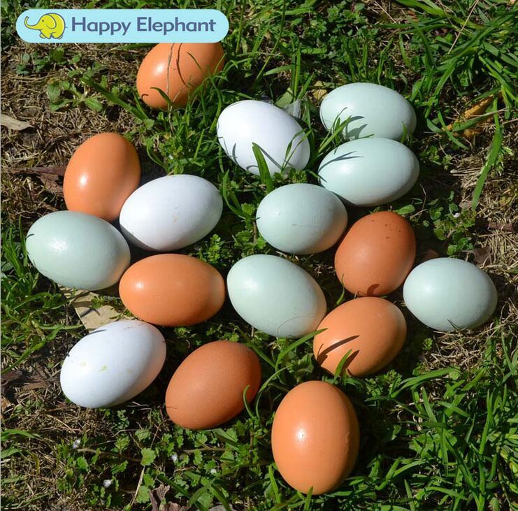 egg egg solid wood simulation painted baby play house wine kitchen educational painting toy acrylic paint watercolor