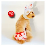 AILUSPET PETS PET Физические штаны Тедди собака Физические штаны Спасение Использующие штаны и штаны