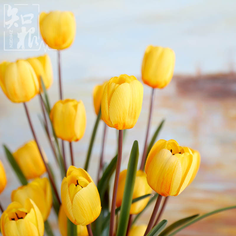 ֪���߷��滨������YJX-008