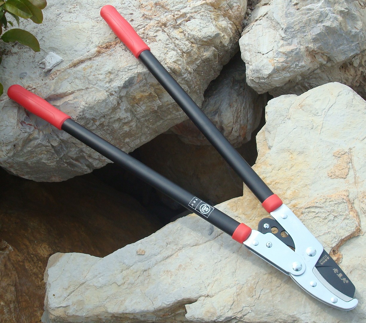 Old Farmer of Taiwan Old Nong fu Coarse Branches Cutting Branches of High Altitude Cut Vigorously Cut Garden Art Tools Garden Tools