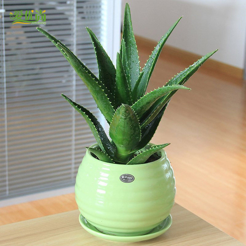 �������ļ��辰s127