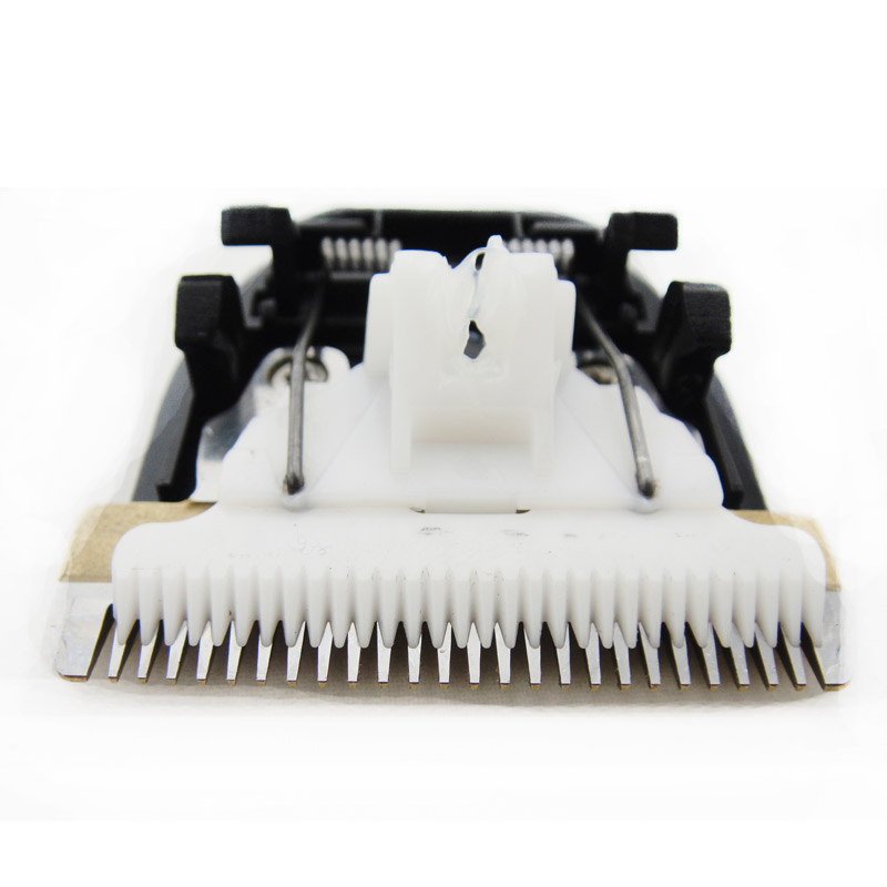 Sense of the wise V5 hairdresser spare tool head