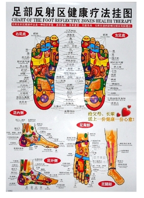 Acupuncture Foot Chart