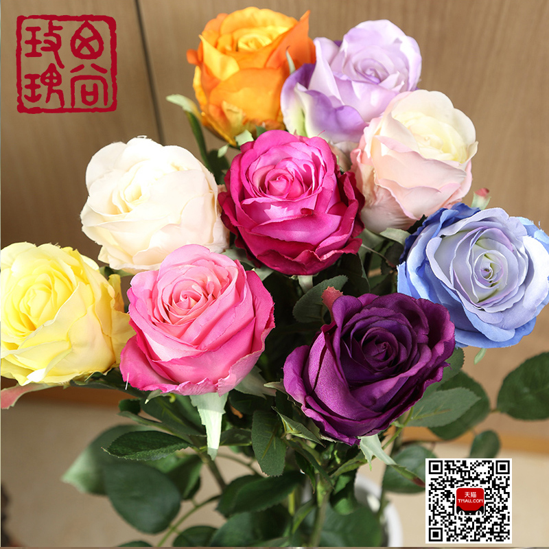 ����õ���õ��HYTNR