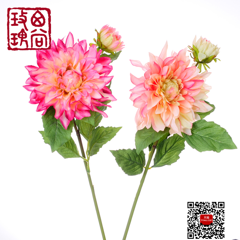 ����õ����滨�ڼ�