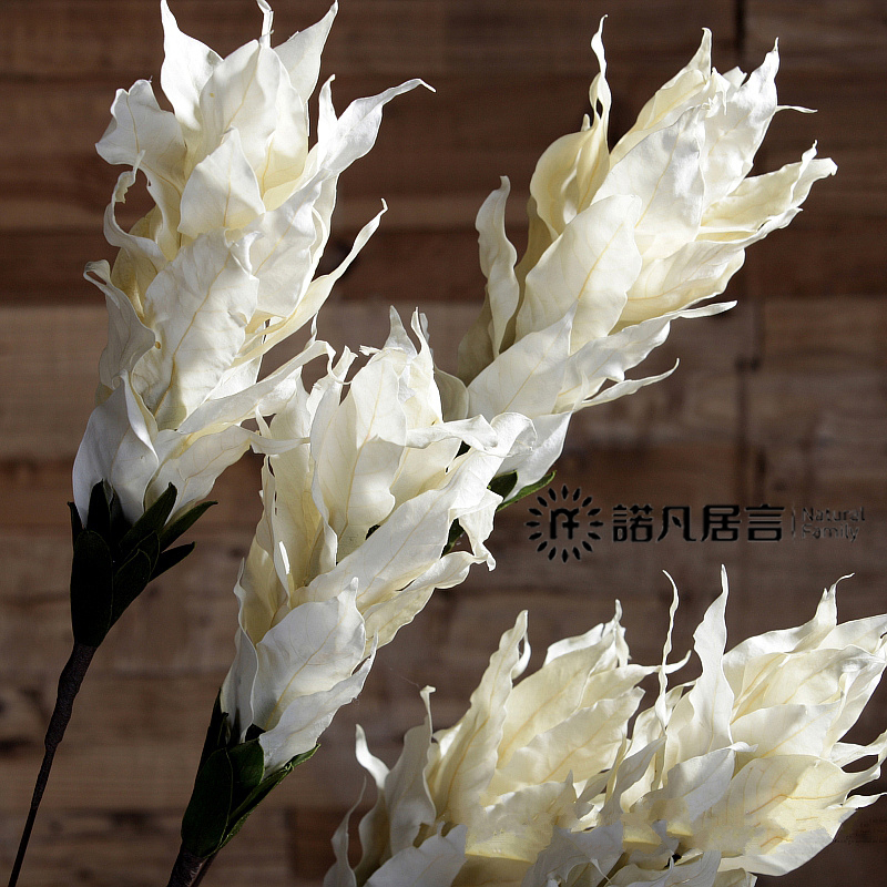 ŵ������������װ�λ�CH33