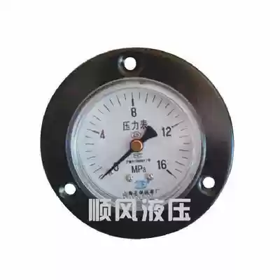 Marine hydraulic steering gear pressure gauge