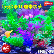 1 yuan flash sale for dozens of small aquatic plants fish tank decorations aquatic plants soft seaweeds simulated long aquatic plants aquarium landscaping