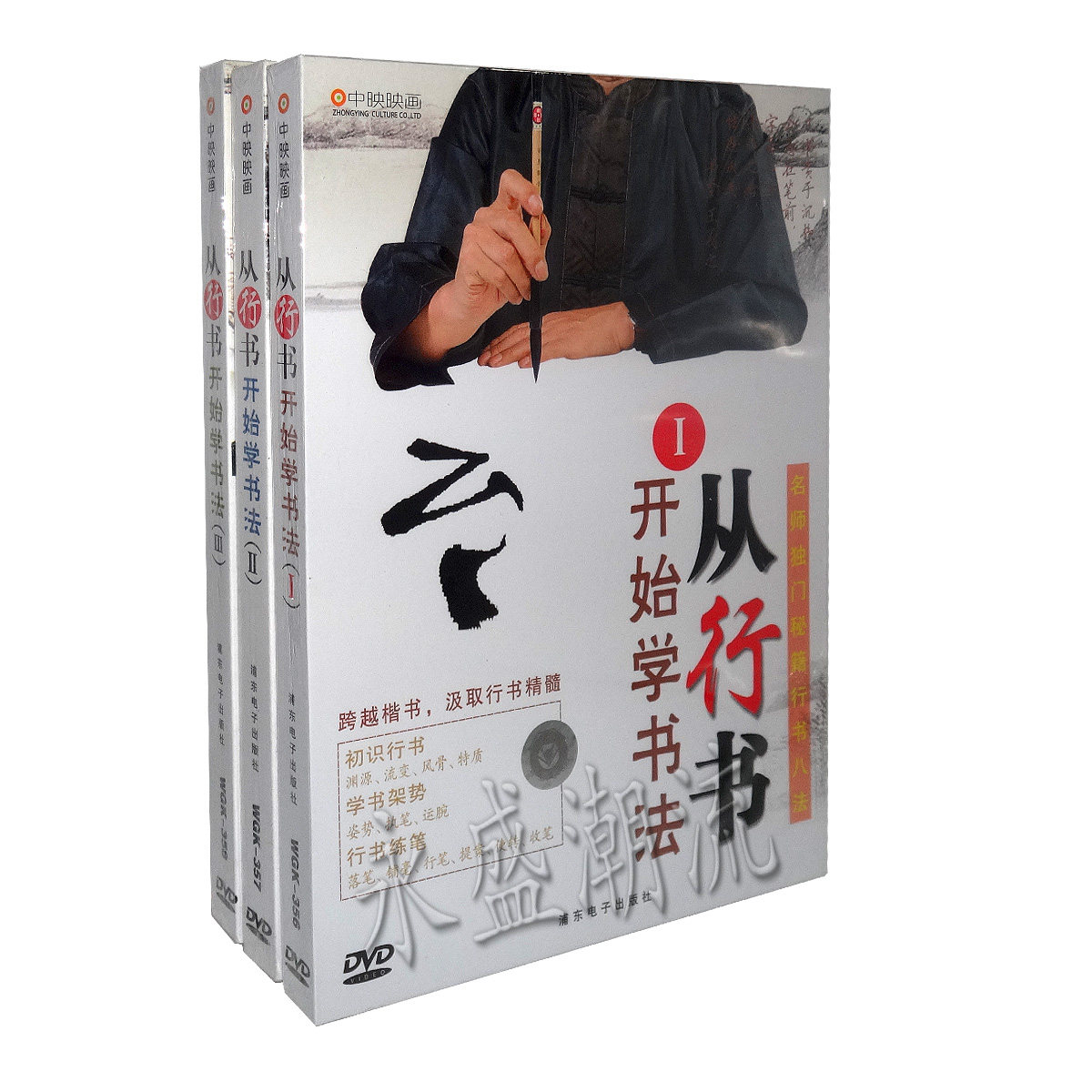 包邮唐国维行书毛笔书法 从行书开始学书法全套 3DVD 视频教学