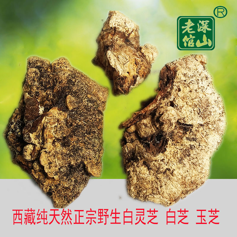 Authentic deep mountain old man Tibetan wild Bai Lingzhi Baizhi Yuzhi 500g new arrivals this year