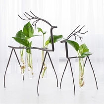 European creative Wrought iron hydroponic plant ornaments Simple modern home decorations Glass vases Living room crafts