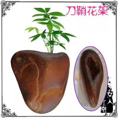 Sabbard flower stand red agate seeds hand-played Madagascar original stone ornamental stone ornamental stone collection treasures