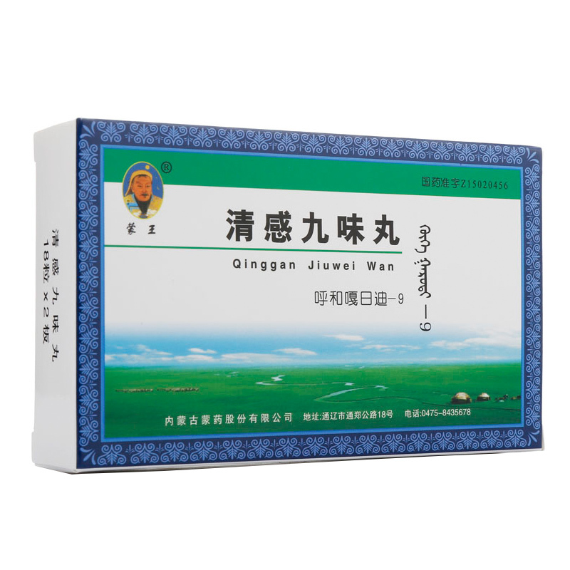 蒙王 清感九味丸(呼和嘎日迪-9) 36粒/盒