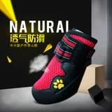 Golden Mao Shoes Big Dog Shoes Sherry Border Four Seasons обувь постоянная сеть обувь Samoda Alaska Mid -Large Dog Shoes