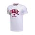 Authentic Li Ning 17 Summer Wade Series Cotton Áo thun nam cho nam POLO Áo sơ mi c1-2-4 - Áo polo thể thao áo polo form rộng Áo polo thể thao