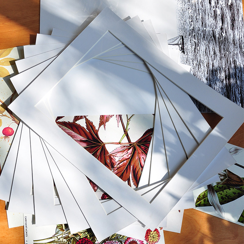 �Ҹ������װ�ѿ�ֽ