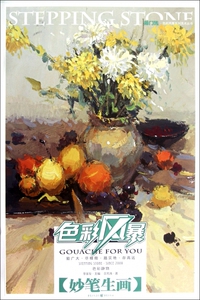 妙笔生画(色彩静物)/敲门砖色彩风暴系列美术丛书 博库网