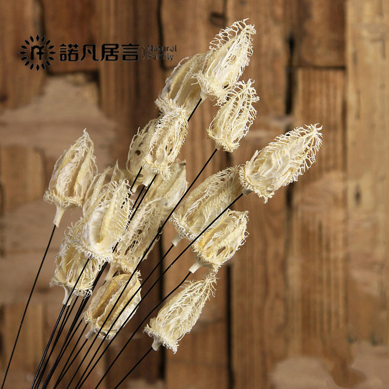 ŵ�����޲ݼٻ�װ�λ�gh0020