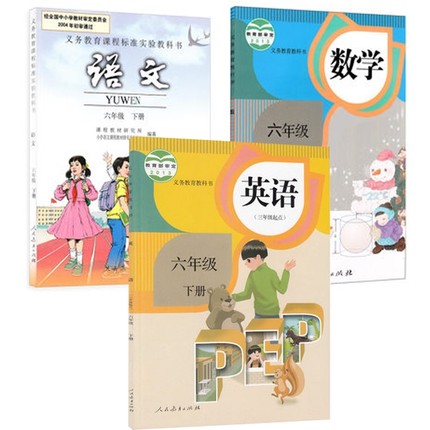 XL RJ B 包邮 2019年 人教版 六年级下册 语文