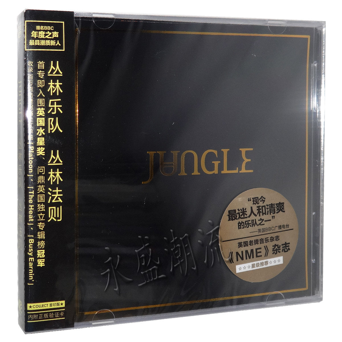 正版专辑|丛林乐队JUNLE:丛林法则（CD）
