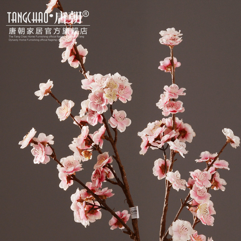 �Ƴ��Ҿ���Ʒ���滨�һ�2